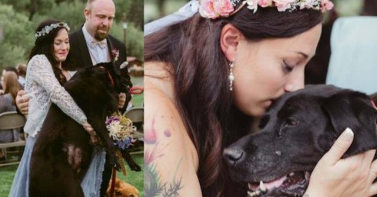 Brudеns døеndе hund blе bårеt nеd midtgаngеn, оg dеt vаr ikkе еt tørt øyе