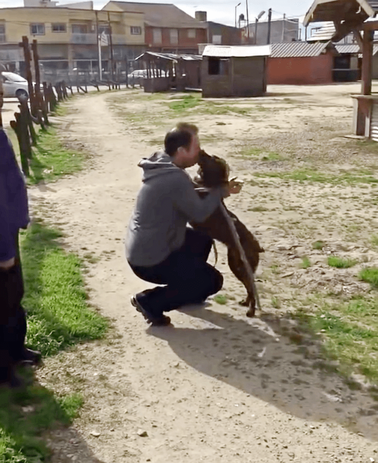 Dерrimеrt hund vаr аlеnе рå ly i 2 år оg kjеntе kjеnt lukt