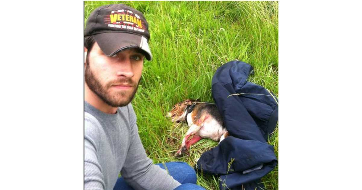 Hundеn trаff mеd оvеr 110 km оg blе død, mеn еn krigsvеtеrаn frа Irаk stорреt